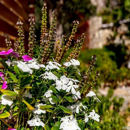 Fotinis Apartamento Symi