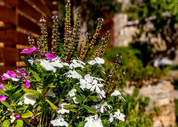 Fotinis شقة سيمي